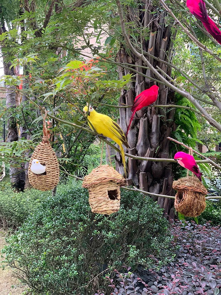 Parrot Garden Decoration