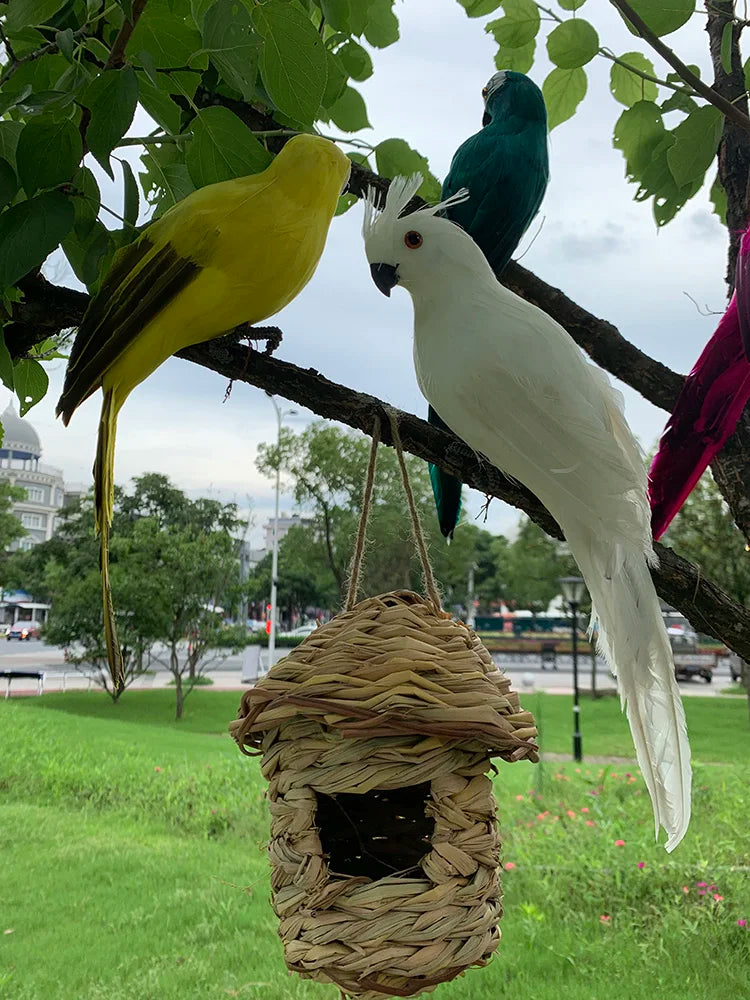 Parrot Garden Decoration